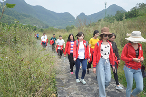 ��ʱKB88��(�й���)�ٷ���վ